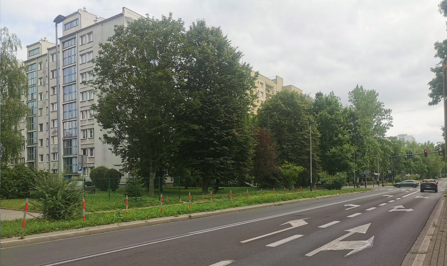 Before Comparison Image